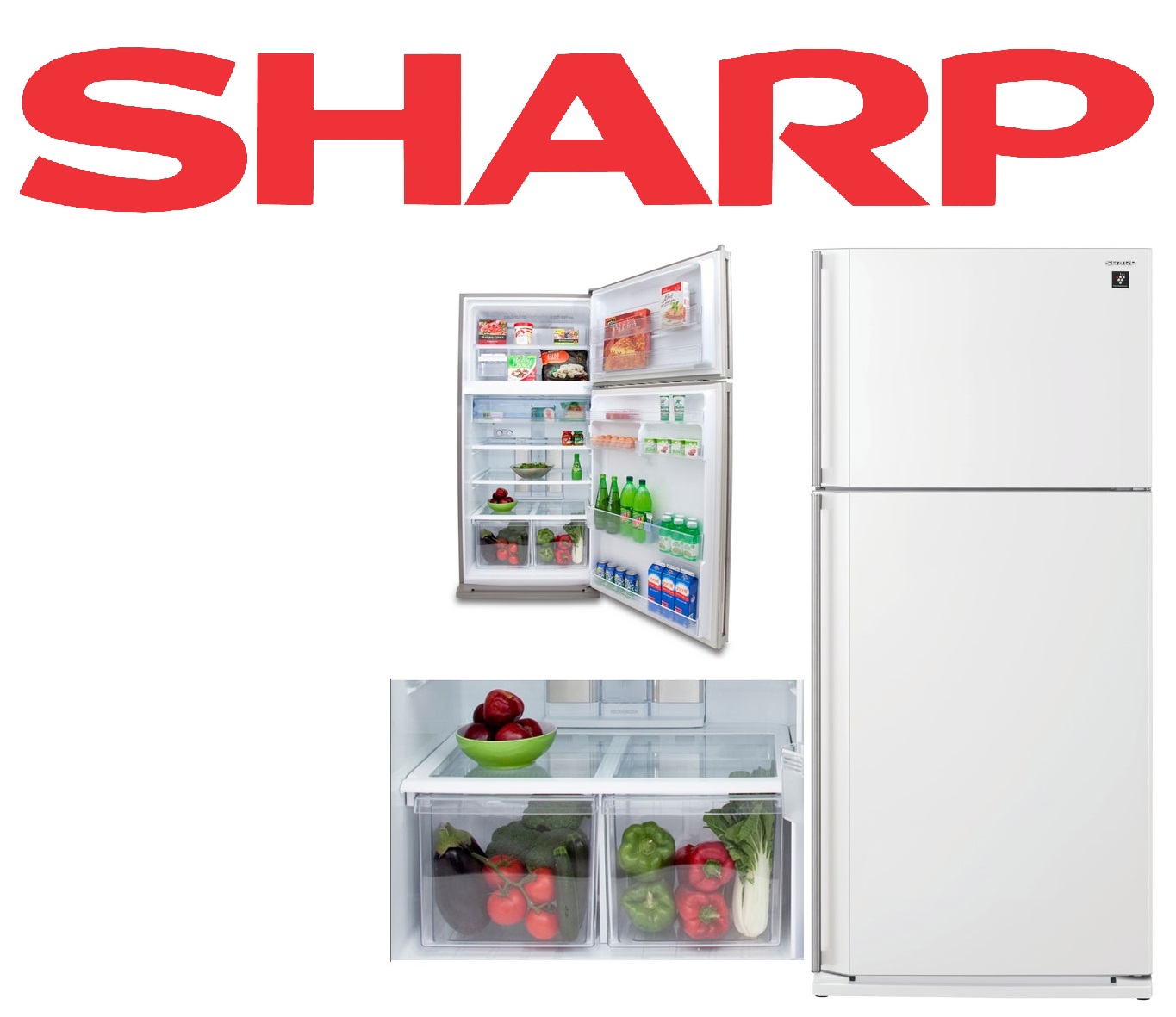 sharp-frigo